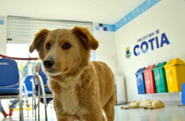 Prefeitura reinaugura Hospital Veterinario em Cotia
