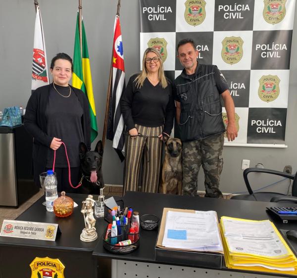 gosto Lilás: Cotia terá exibição de ‘Cão Protetor para Mulheres Vítimas de Violência’