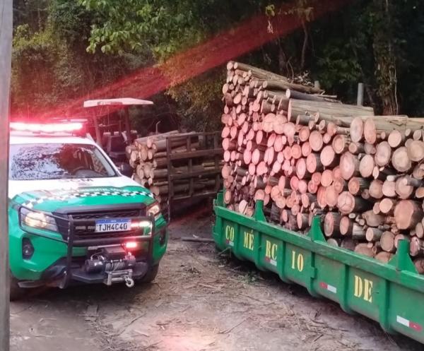 Guarda Ambiental de Cotia prende três por desmatamento no Aguassaí