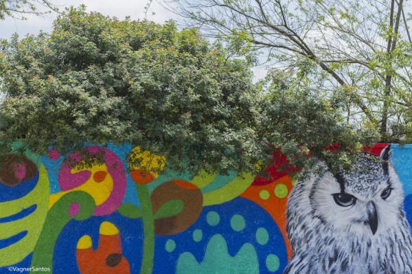 Grupo estudantes participa de oficina de grafite e muda o ambiente escolar com sua arte