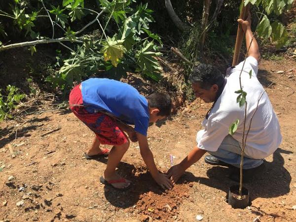 Programa “Cotia +Verde” passa pelo Jardim Nossa Senhora das Graças