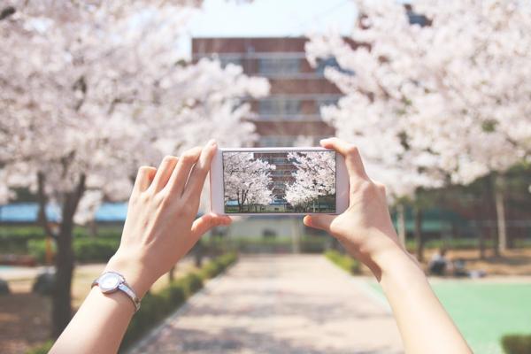 Em novembro, Cotia terá oficina básica de Fotografia Mobile