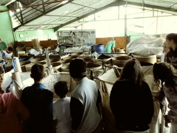 ‘Desenvolvimento Sustentável’ é tema de projeto em escola de Cotia