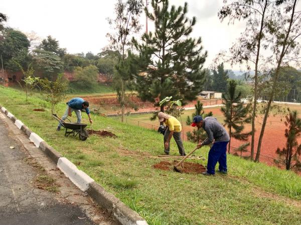 Nesta semana, Programa Cotia +Verde passa por diversos bairros