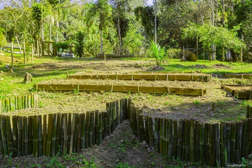Cotia tem inscrições abertas para curso de Horta Comunitária