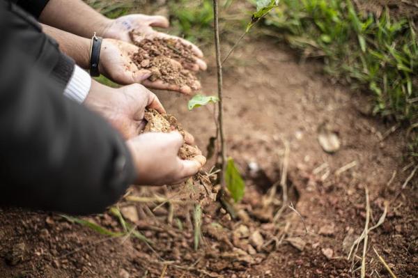 Meio Ambiente de Cotia lembra o ‘Dia de Proteção às Florestas’ com plantio