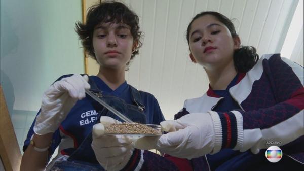 Premiadas por invenção: “No nosso país existe ciência e jovens que querem contribuir com a sociedade”