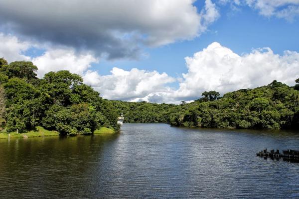 Cotia está confirmada na Rede de Educação Ambiental que acontece no dia 31