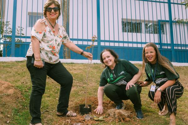 Cotia + Verde celebra ‘Dia da Floresta’ com plantio de Ipês na avenida Joaquim Barreto