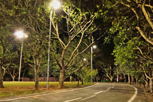 Com iluminação, Parque Teresa Maia tem horário de funcionamento estendido