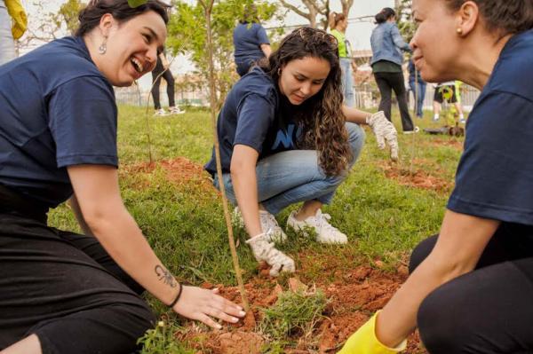 Dia da Árvore foi celebrado com centenas de mudas nativas plantadas em Cotia e abertura do ‘Desafio Ambiental’